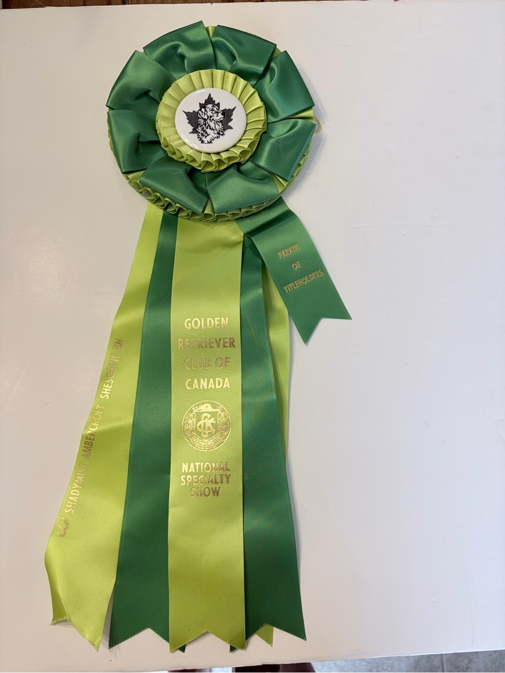 Lot of dog show ribbons Best Golden Retriever Club of Canada Best puppy in show